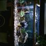 fish tank picture - Enjoy.