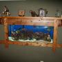 55 gallons saltwater fish tank (mostly fish, little/no live coral) - 55 Gallon FOWLR...recently mounted in wall.