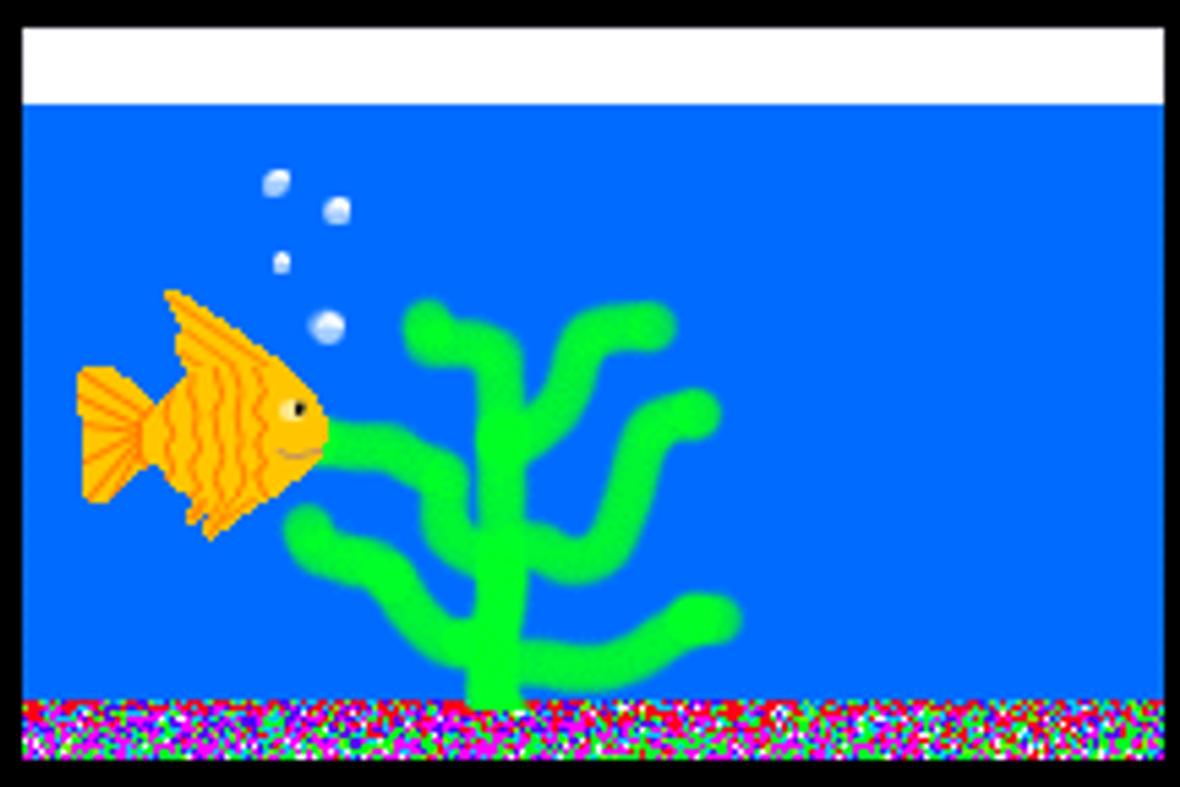 52 gallons saltwater fish tank (mostly fish, little/no live coral) - cute!!