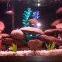 35 gallons freshwater fish tank (mostly fish and non-living decorations) - 35 Gallon African Cichlids. 9 cichlids, 1 snail, 1 pleco. Fake Plants. Whisper 40
