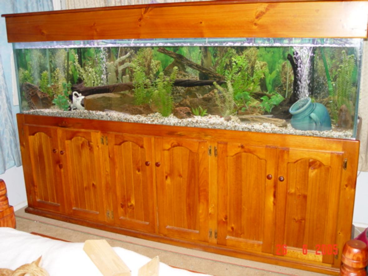 190 gallons freshwater fish tank (mostly fish and non-living decorations) - 8x2x2 tank