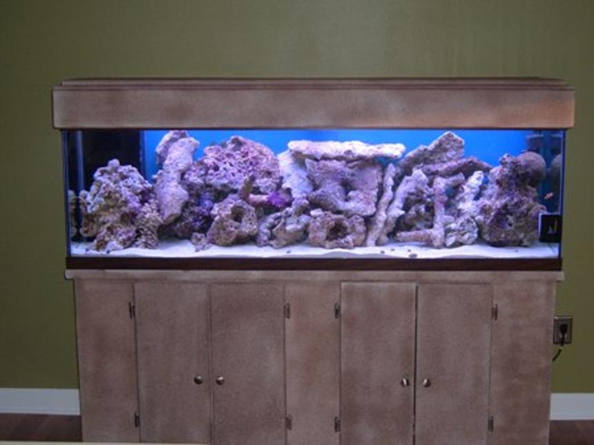 Rated #42: 125 Gallons Saltwater Fish Tank - New tank. Just getting started