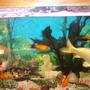 75 gallons freshwater fish tank (mostly fish and non-living decorations) - il soon upload a complete 6' pic