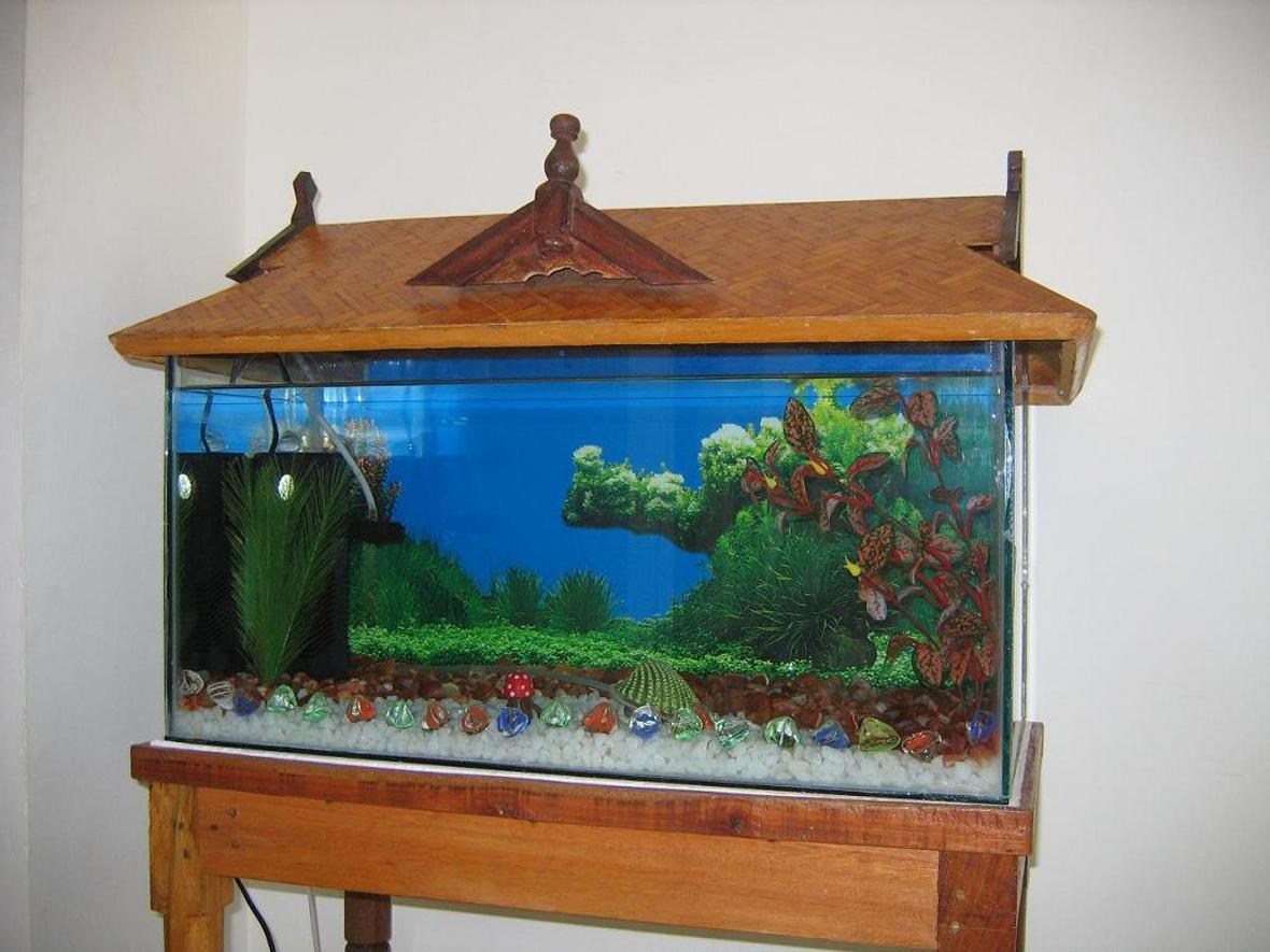 15 gallons freshwater fish tank (mostly fish and non-living decorations) - size: 2 x 1 x 1 (feet). 15 gallons tank. White and brown gravels are used. Right now no light is used. I used artifical plants only. Gold, Telescope, Guppy and 1 male fighter(betta). I used HJ-752 filter (18 W, 600 liter/hour).