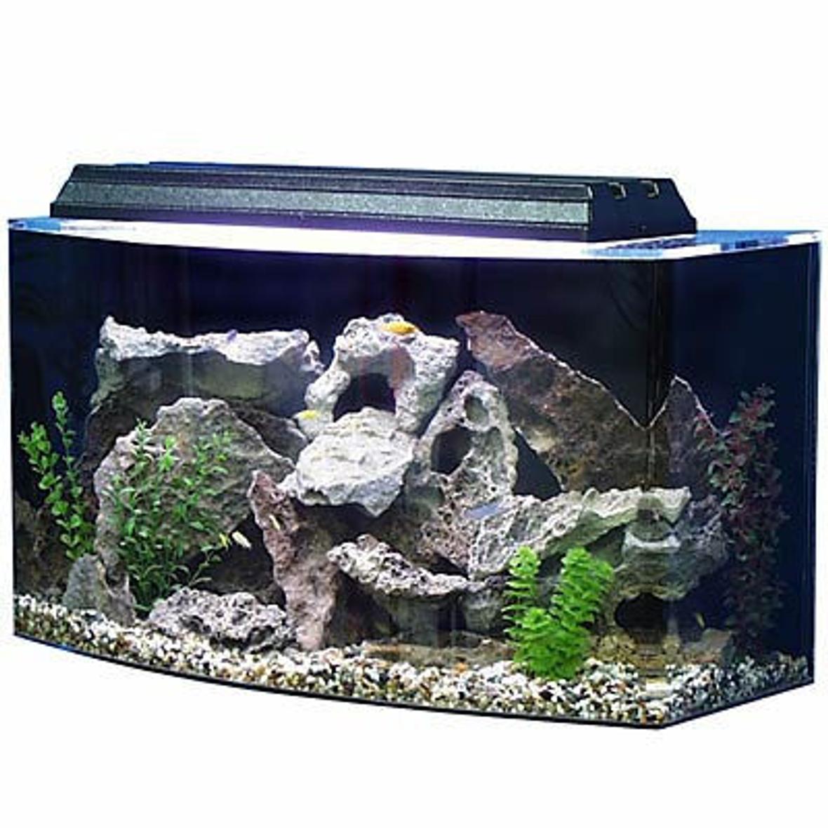 30 gallons reef tank (mostly live coral and fish) - my best tank