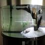 fish tank picture - extra3