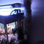 fish tank picture - Skimmer And Phosban Reactor 150