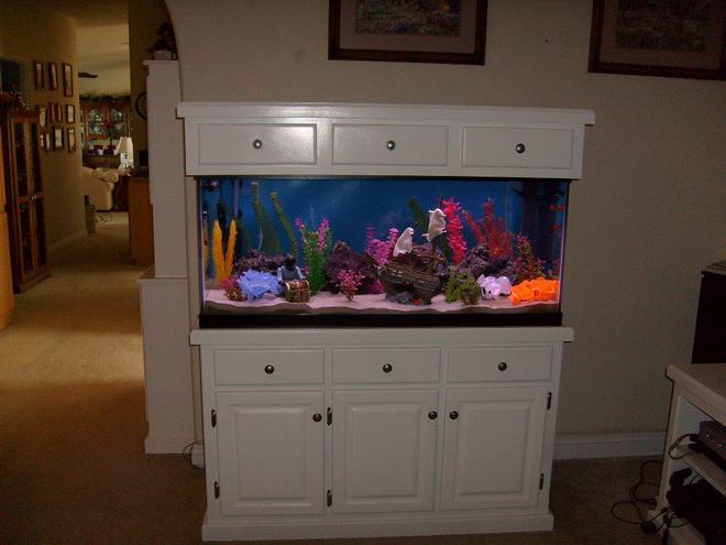 75 gallons freshwater fish tank (mostly fish and non-living decorations) - new tank in progress