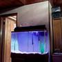 45 gallons freshwater fish tank (mostly fish and non-living decorations) - sorry i havnt really updated but i have a 45 gal and a 75 right now my fish are getting big so im moving them into the 75 gal in the 75 are 3 red hocked silver 1 and a oscar sucker fish one big one small and two other fish in the 45 gal