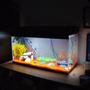 fish tank picture - my tanks on custom made unit which makes it look smaller then it is, but certainly brightens up the place