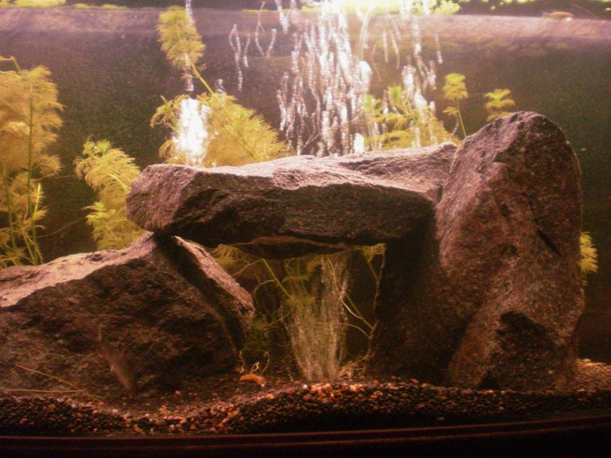 Rated #277: 70 Gallons Freshwater Fish Tank - StoneHenge - Granite rock with a suspended rock creating a tunnel. I placed an undergavel airstone beneth the suspended rock which spreads the bubbles around and gives a unique look!