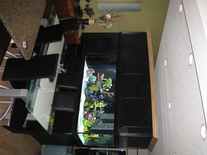 350 gallons saltwater fish tank (mostly fish, little/no live coral) - 350 Gallon Tank, divides our Dining Room from Our Living Room.... I couldn't live without it!!!!