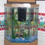 20 gallons freshwater fish tank (mostly fish and non-living decorations) - Hexagonal Tank with oak stand and hood.