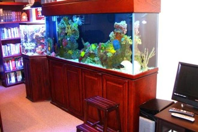 150 gallons reef tank (mostly live coral and fish) - 150 Gallon Fish Only with Octagon Reef in Background