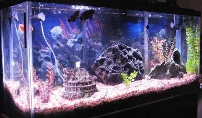 55 gallons freshwater fish tank (mostly fish and non-living decorations) - Tank has undergravel filter with 2 Penguin 550 powerheads.  One on each corner, also with a 60 gallon chemical filter that hangs on the back of the tank.  200 watt stealth heater.