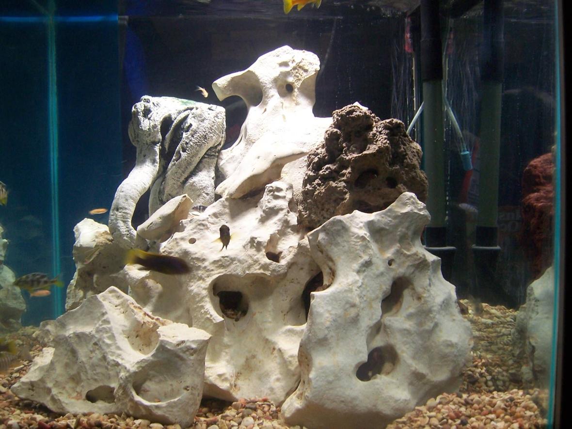 60 gallons freshwater fish tank (mostly fish and non-living decorations) - Built-In 60 gallon cube african cichlid tank. 30 lbs lava rock and 40 lbs texas holey rock.