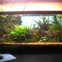 70 gallons planted tank (mostly live plants and fish) - The 30 gallon tank