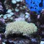 fish tank picture - ...