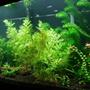 fish tank picture - 1