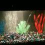 5 gallons freshwater fish tank (mostly fish and non-living decorations) - This is my brand new 5 gal. tank :-) Never worked with black gravel, so I had to add a bit of color :-) Got 3 glowfish in their too ^_^ Should I switch the green and pink decor? Couldn't hide the tubbing :/