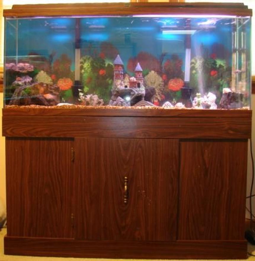 Rated #313: 55 Gallons Freshwater Fish Tank - 55 gal fish tank