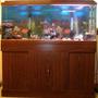 55 gallons freshwater fish tank (mostly fish and non-living decorations) - 55 gal fish tank