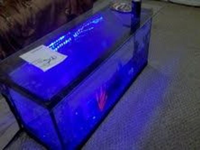 30 gallons freshwater fish tank (mostly fish and non-living decorations) - this is a project which everyone in the fish world says it wouldnt work, turned out to be a very useful table and pretty too