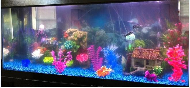 75 gallons freshwater fish tank (mostly fish and non-living decorations) - My new 75 gal. freshwater tank still in cycling phase.