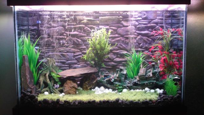 100 gallons freshwater fish tank (mostly fish and non-living decorations) - This is a fresh water Tank with dimentions L : 4ft.,  H : 2.5ft., D :1.5ft.
It has tetras, Discus, catfish, angles, silver shark and red lobsters right now, I'll be adding some more very soon.
