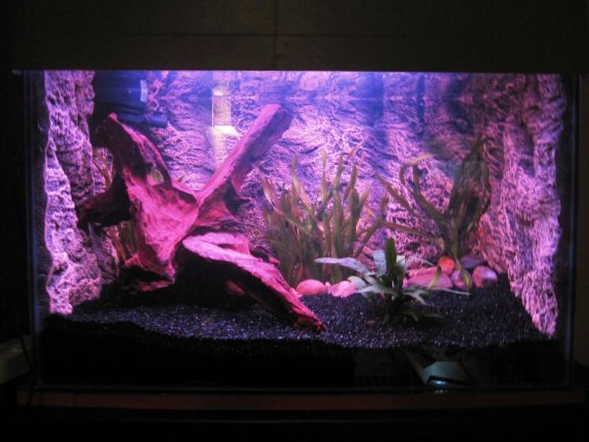 Rated #180: 20 Gallons Planted Tank - 20 gallon tank, powerhead tofilter box and 15w red fluorescent