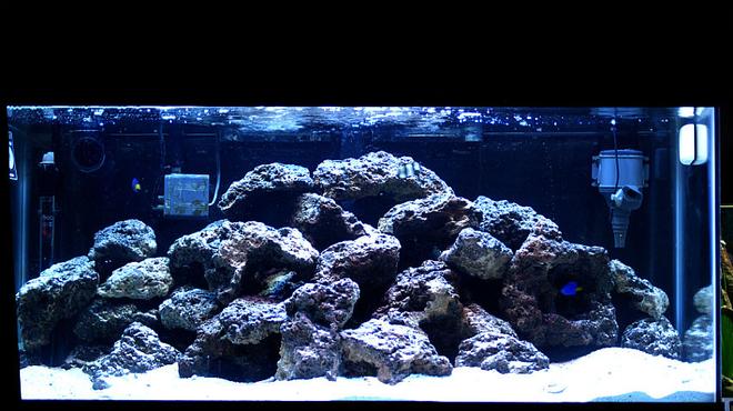 50 gallons saltwater fish tank (mostly fish, little/no live coral) - damsels and 70 pounds of live rock, 50 gallon. Enjoy!