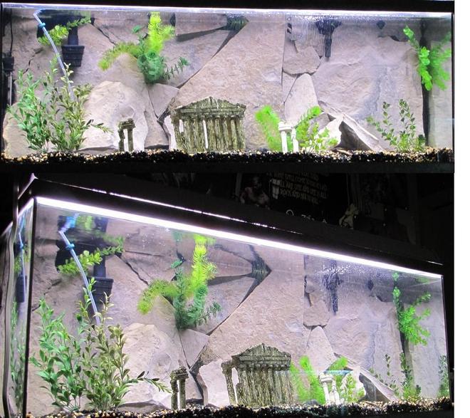 55 gallons freshwater fish tank (mostly fish and non-living decorations) - For my flowerhorns in the mail... lemme know what u think?