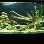 120 gallons freshwater fish tank (mostly fish and non-living decorations)