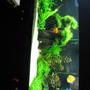 150 gallons planted tank (mostly live plants and fish) - This setup is 4 months old...