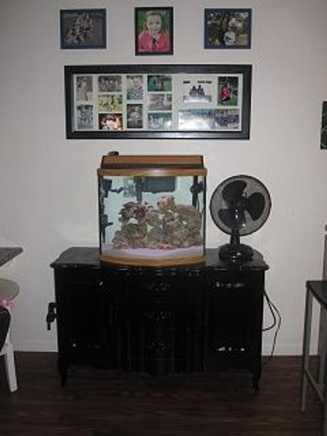 29 gallons saltwater fish tank (mostly fish, little/no live coral) - Wide shot of tank still in the build