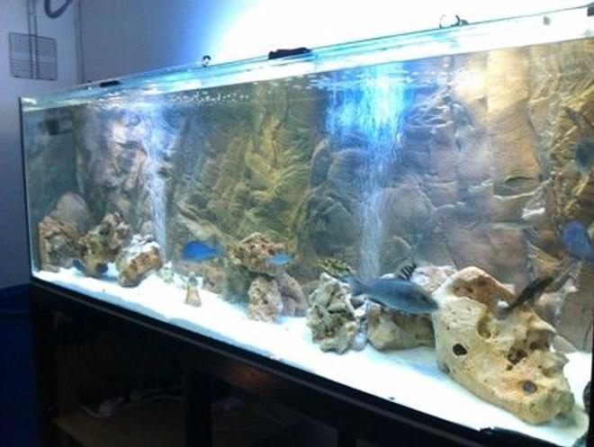 160 gallons freshwater fish tank (mostly fish and non-living decorations) - my tank 600ltrs