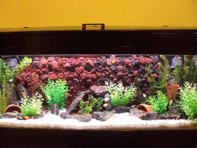 55 gallons freshwater fish tank (mostly fish and non-living decorations) - 4ft tank, just re-jigged tank and added new background with tunnels through the back of it.  There are about 12 tunnels for the fish to go into.  Not to sure on the terminology, have 1500L external filter, with under-gravel filter with powerheads.  All up it seems to be going quite well at the moment.