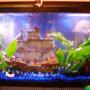 55 gallons freshwater fish tank (mostly fish and non-living decorations) - My tank