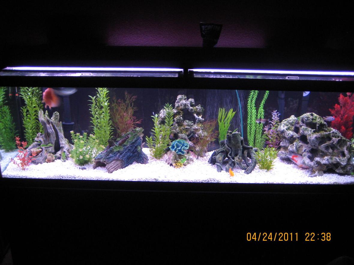 125 gallons freshwater fish tank (mostly fish and non-living decorations) - Sorry my fish did not want to be photographed.