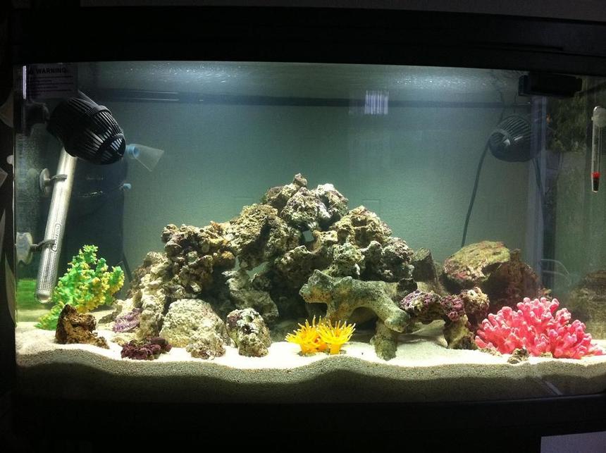 Rated #95: 22 Gallons Reef Tank - Just started this marine tank, thought Id update its progress as I go. 

Lots of Marine Sand, and 15KG of Live Rock to start me off, Currently running the Interpet internal filter until my Tetratec External arrives later in the week, I`ll let them run side by side for a few weeks and then remove the Internal to free a bit of space, Also got two powerheads circulating the water. Live Rock is showing signs off growth and water parameters are looking ok so far, still waiting on my spike to happen until I can even think about any fish....

What do you think of the layout?

Any changes you would make?

Any recommendations?