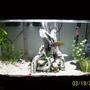 29 gallons freshwater fish tank (mostly fish and non-living decorations) - 29 gallon all glass tank, whisper 30-60 filter, topfin 30 power head, topfin heater, black sand and white crushed coral, deadwood tree stump ornament, 1 or 2 live plants (can't remember type).