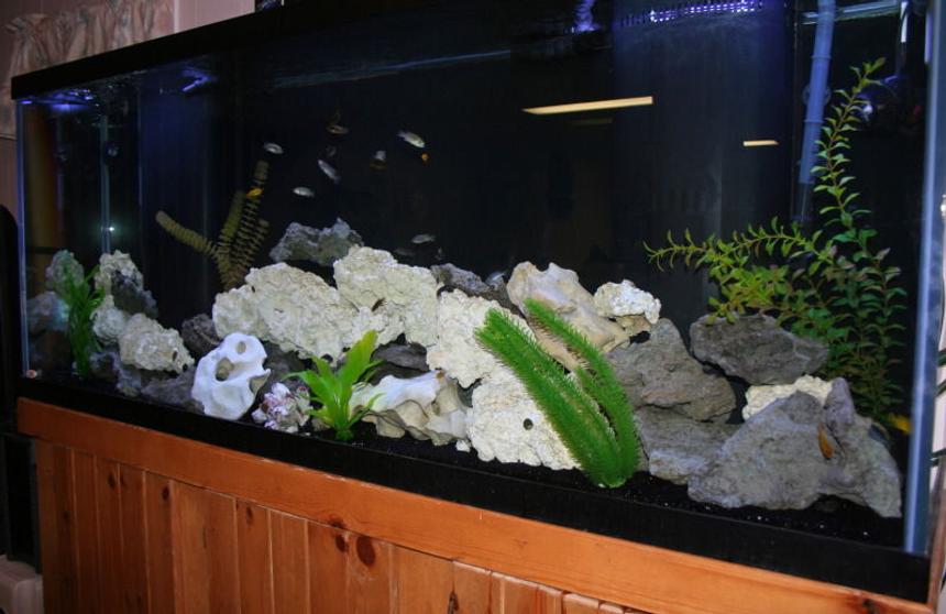 Rated #99: 150 Gallons Freshwater Fish Tank - 15