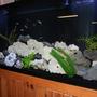 150 gallons freshwater fish tank (mostly fish and non-living decorations) - 15