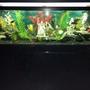 fish tank picture - Full View Update