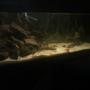 60 gallons freshwater fish tank (mostly fish and non-living decorations) - 60 gal freshwater cichlid tank