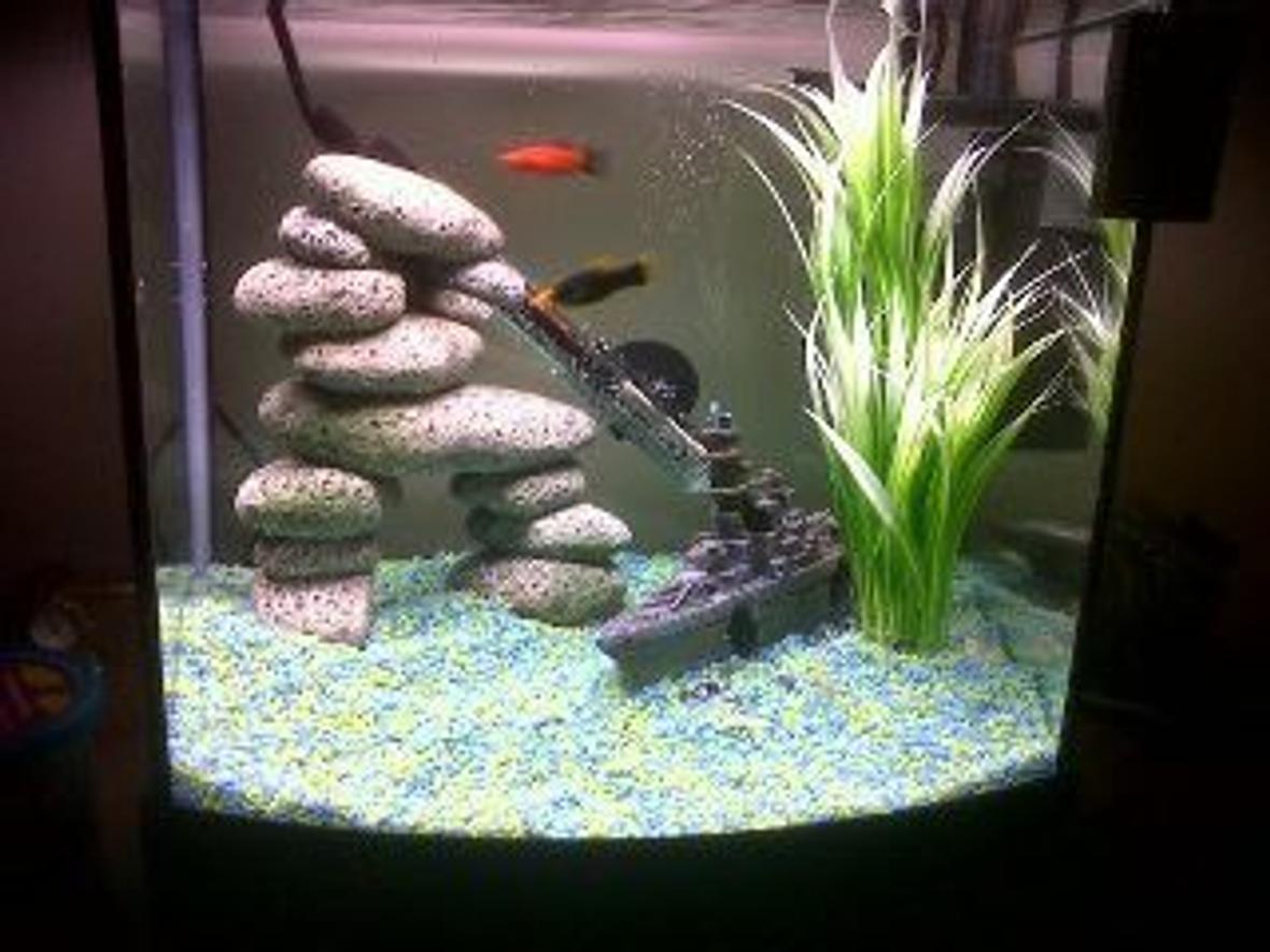 28 gallons freshwater fish tank (mostly fish and non-living decorations) - My New Tank with two Plattys