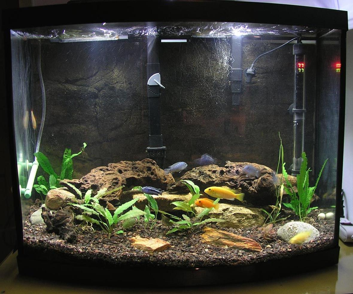 29 gallons freshwater fish tank (mostly fish and non-living decorations) - 1st aquarium in 20 years. Trying to resist for now the bug to get a bigger tank.