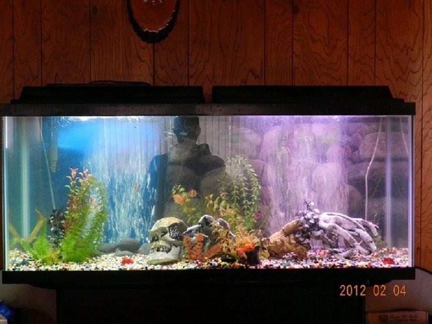 Rated #2287: 55 Gallons Freshwater Fish Tank - Enjoy. Relaxing. Love my tank. I now have upgraded my 2nd tank to a 75 gallon tank. OMG its nice!! 75 Gal tanks are probably one of the nicest sizes to have, bigger than that starts to take up too much room usually unless you can get a taller one.