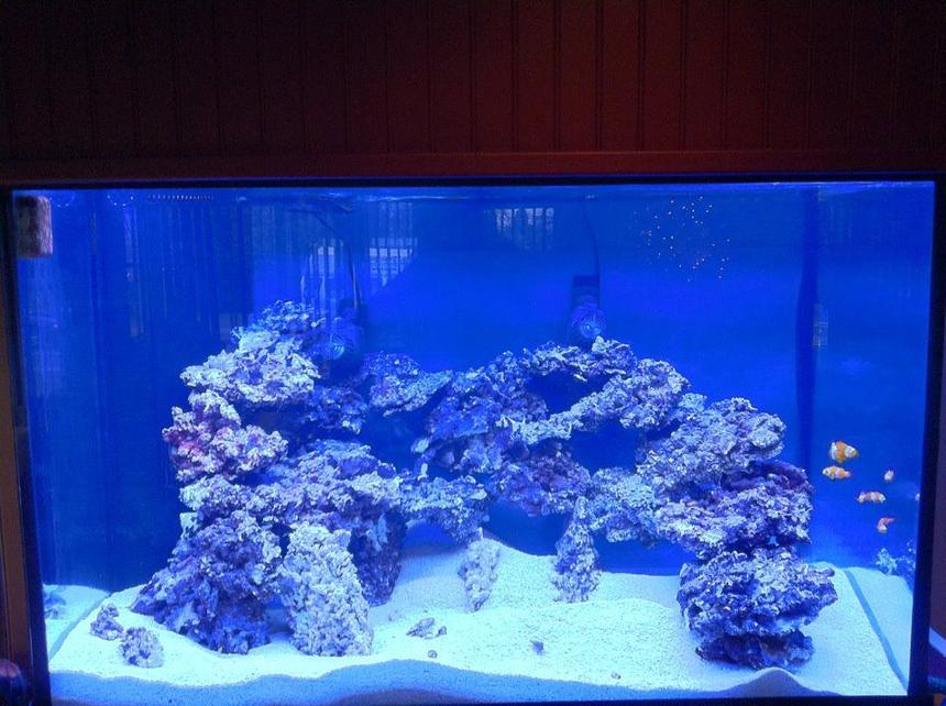 Rated #44: 10000 Gallons Reef Tank - tank