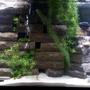 55 gallons freshwater fish tank (mostly fish and non-living decorations) - Many hiding places for fish. Fish are able to swim through various sections of the brick wall which is build n a pyramid shape.